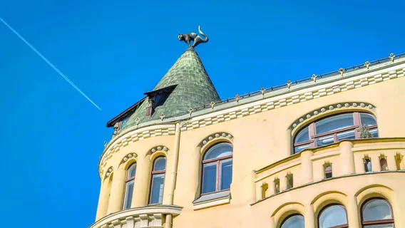 Дом с котами