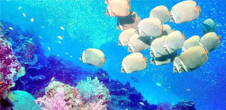 Hotels near Bozhou Ocean World