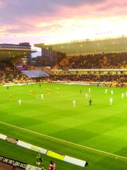 Molineux Stadium