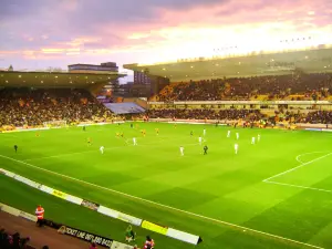 Molineux Stadium