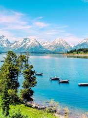 Jackson Lake