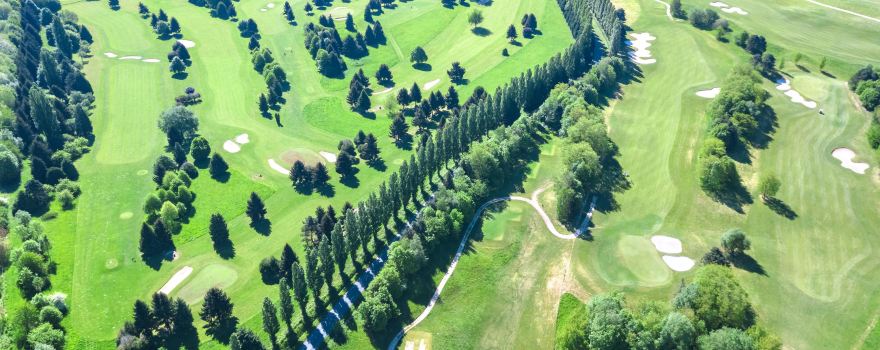 Pine Valley