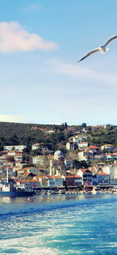 Turchia: hotel con piscina nella provincia di Provincia di Istanbul