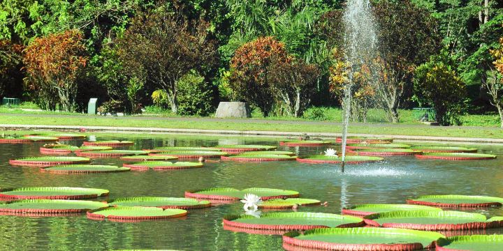 Bogor Botanical Gardens