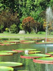 Богорский ботанический сад