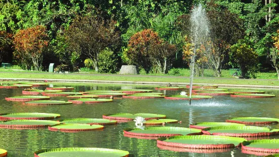 茂物植物園