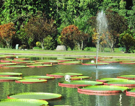 茂物市 自由行套票