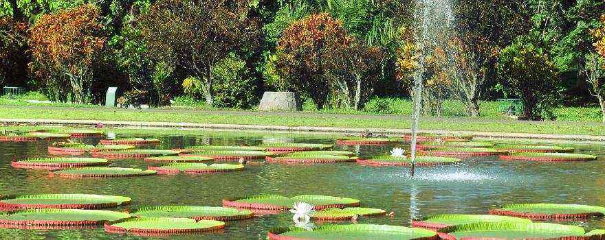 Central Bogor