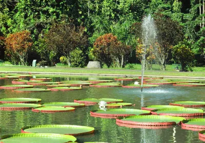 Bogor Botanical Gardens