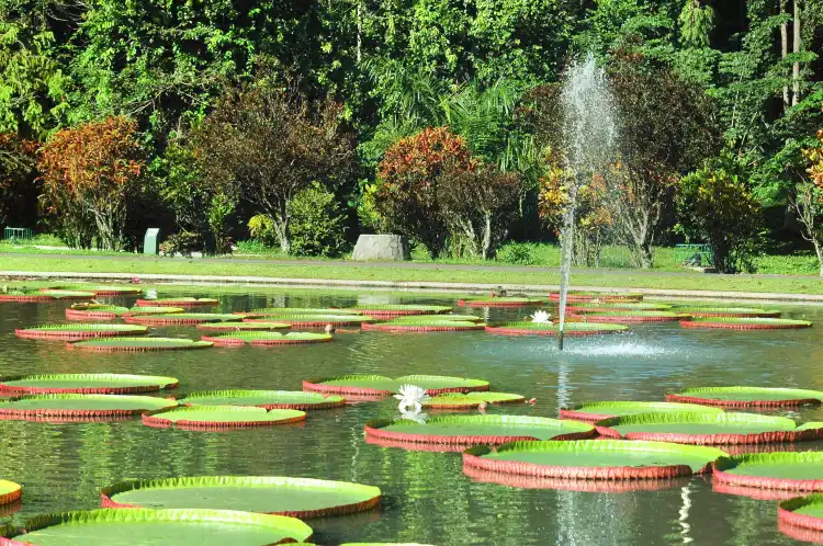 Hotel di Bogor Tengah