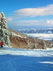 富良野滑雪場