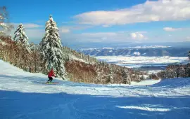 富良野滑雪場