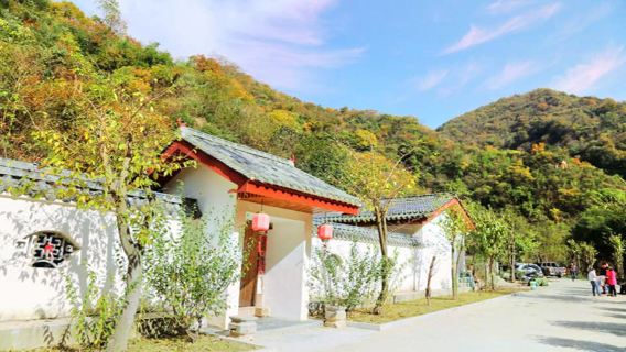 Taihe Plum Valley
