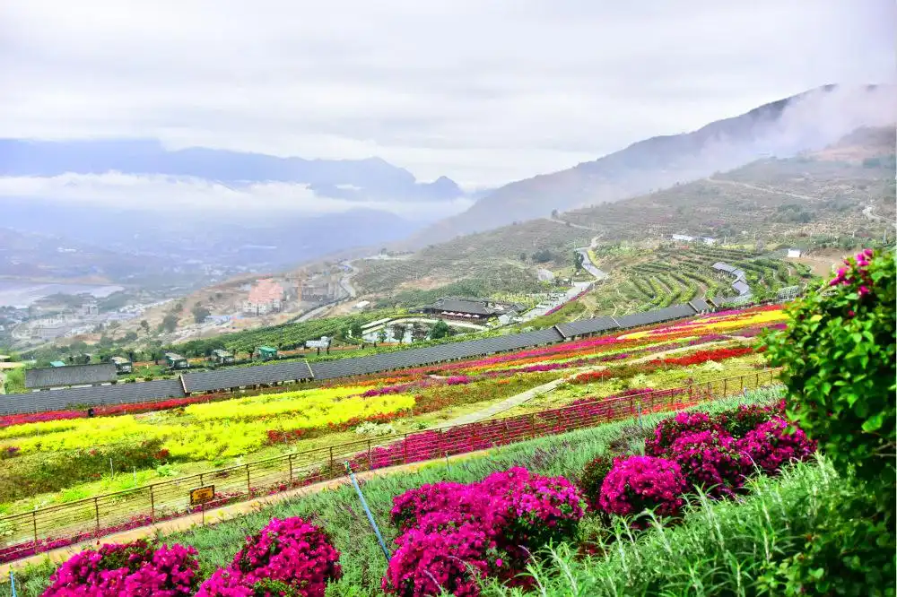 Hotels near Huawu Renjian Scenic Area in Panzhihua