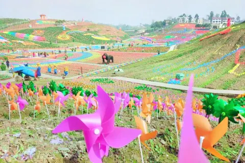 Million Roses Dream Garden