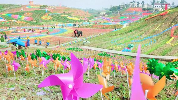 Million Roses Dream Garden