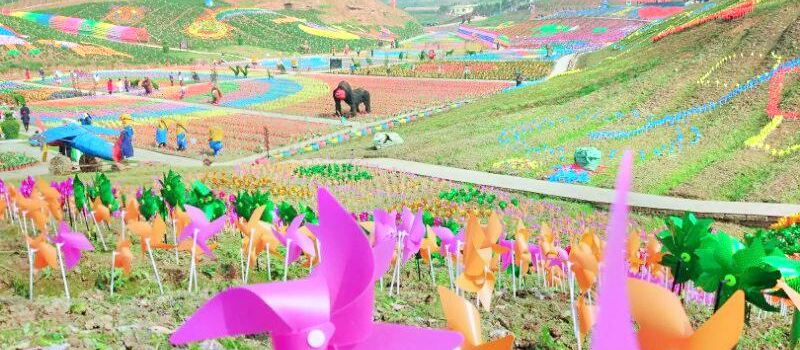 Million Roses Dream Garden