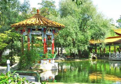 Китайский сад Цюриха