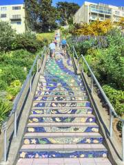 16 Avenue Tiled Steps