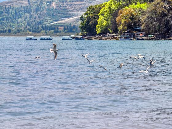 Fuxian Lake