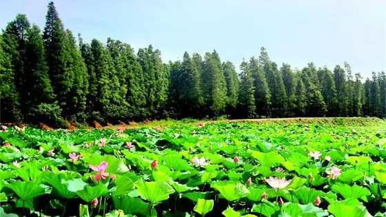 清水潭旅遊度假區
