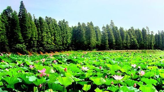 Qingshui Pool Tourist Resort
