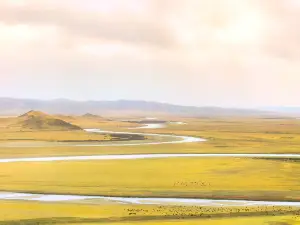 四川省阿坝藏族羌族自治州若尔盖县团结路与幸福路交叉口东320米