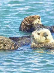 Monterey Bay National Marine Sanctuary Exploration Center