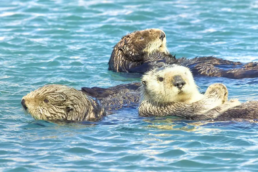 Monterey Bay National Marine Sanctuary Exploration Center