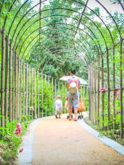 Zunyishi Botanical Garden