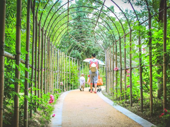 Zunyishi Botanical Garden