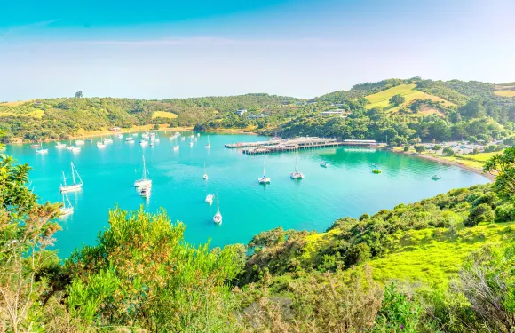 懷希基島- 奧克蘭來回接送票（去程由奧克蘭出發）成人