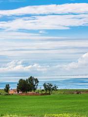 Erhai Lake of Qinghai Lake