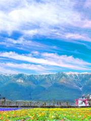 Yunhai Fangcao Flower Garden Expo Park