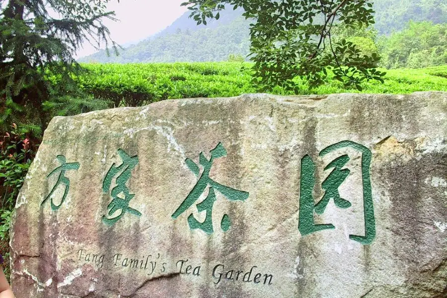 Tea Garden of the Fang Family