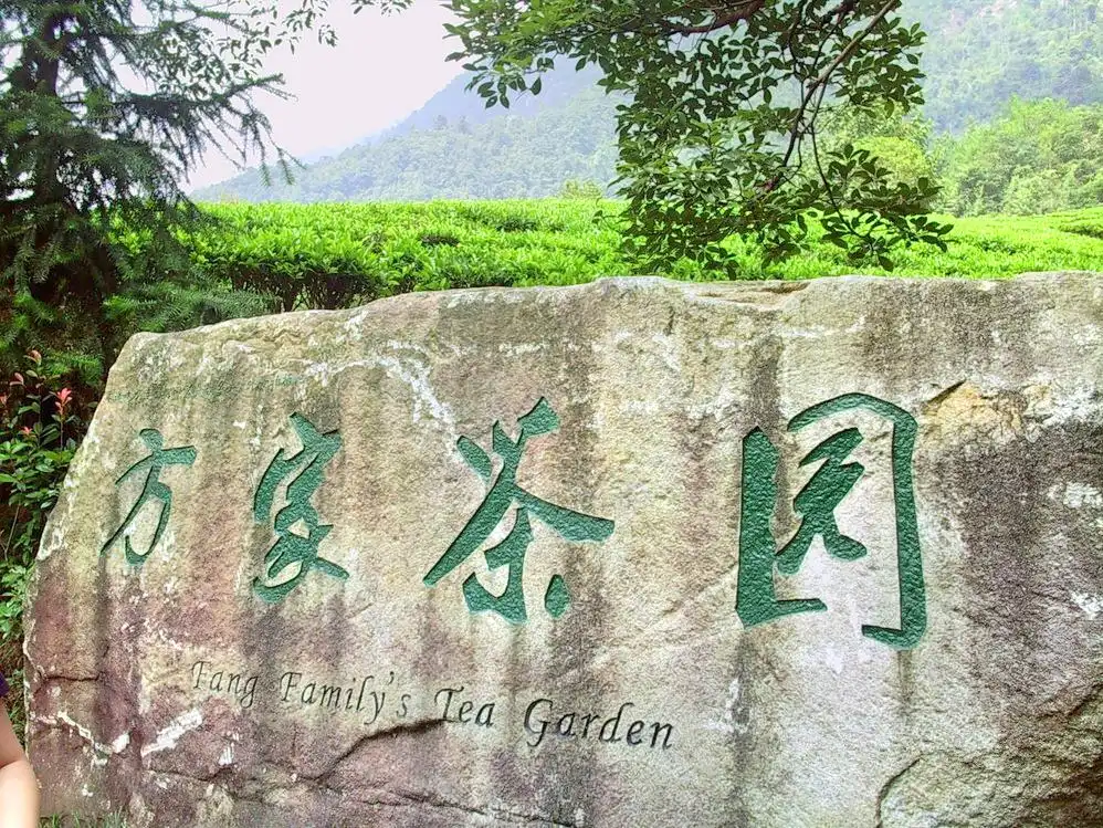 Hotels near Tea Garden of the Fang Family