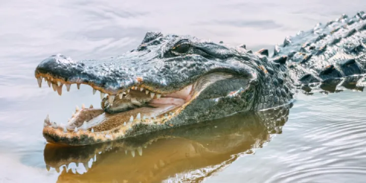 佩恩斯大草原保護區州立公園