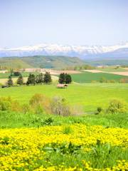 Panorama Road Ehana (Kamifurano Town Road No. 21)