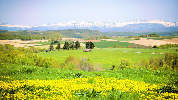 Panorama Road Ehana (Kamifurano Town Road No. 21)