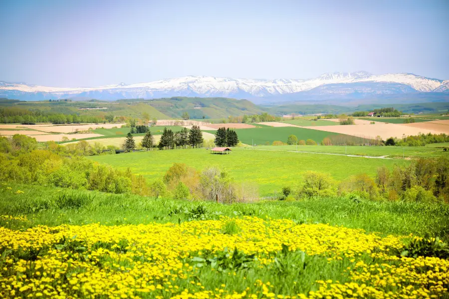 Panorama Road Ehana (Kamifurano Town Road No. 21)