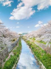 Yamazaki River