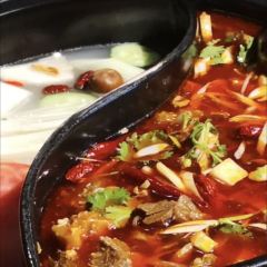 LIU YI GUO JIN TOU BA NAO YI GUO XIANG User Photo
