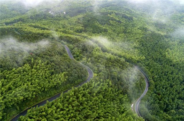 Wawushan Mountain Area