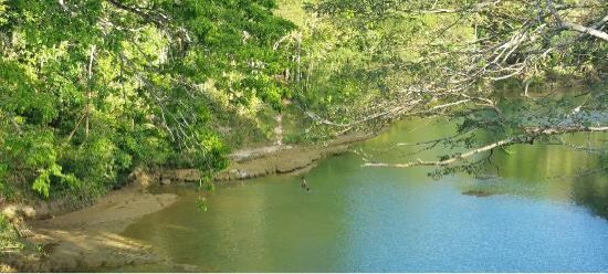 Bamboo Hanging Bridge