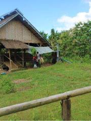 Maribojoc Demo Farm
