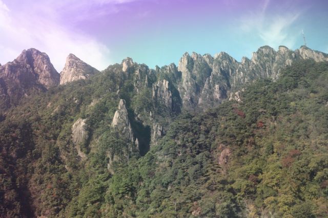 윈구쓰