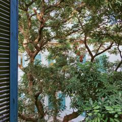 那私廚·紅磚老別墅餐廳(鼓浪嶼店)張用戶圖片