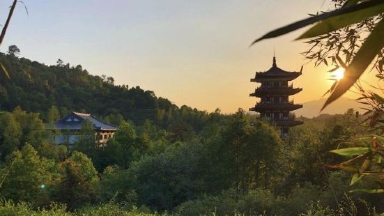 梓路寺臨近奇墅湖，規模宏大，寺廟環境清爽深幽，新建的梓路寺唐