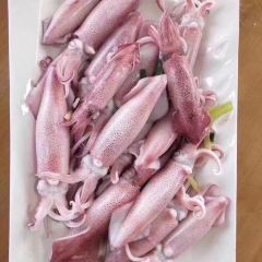 怡景海鲜私厨(青澳湾旅游必选店) User Photo