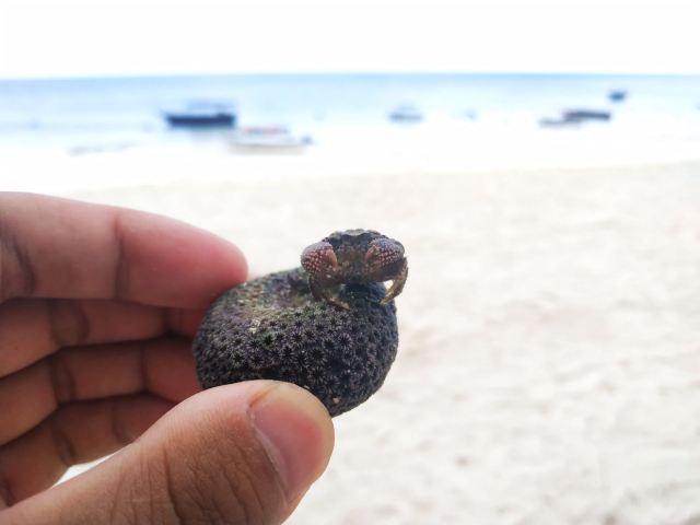 Nungwi Beach